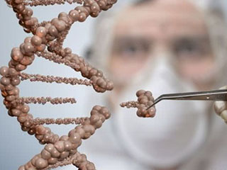 中科院博士：基因敲除技術(shù)不復雜 分子生物學實驗室都可做